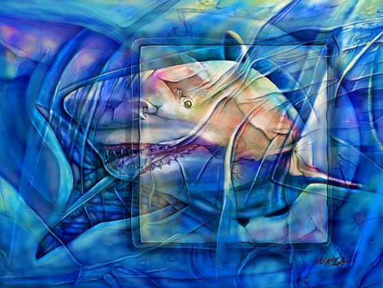 shark artwork